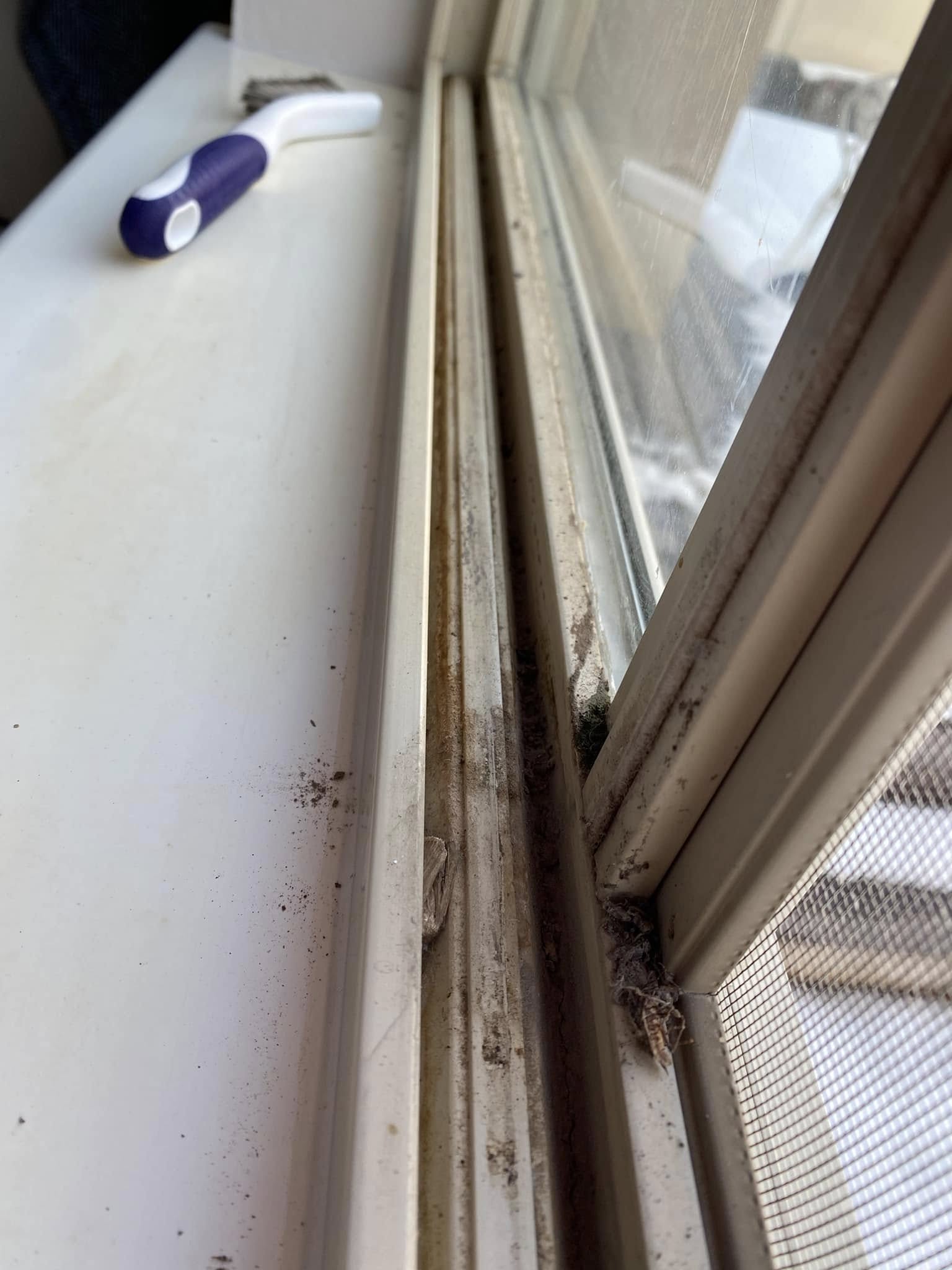 Before Window Cleaning